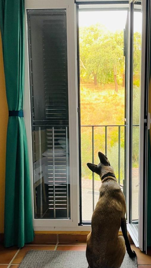 Casa Rural Una Ventana A La Montana Aracena Eksteriør bilde